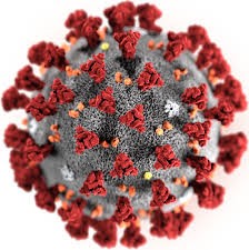 Coronavirus (Covid-19) information